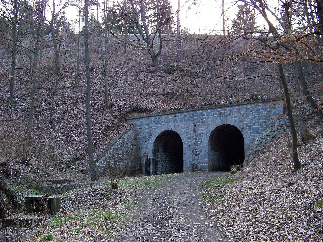 Pětihosty