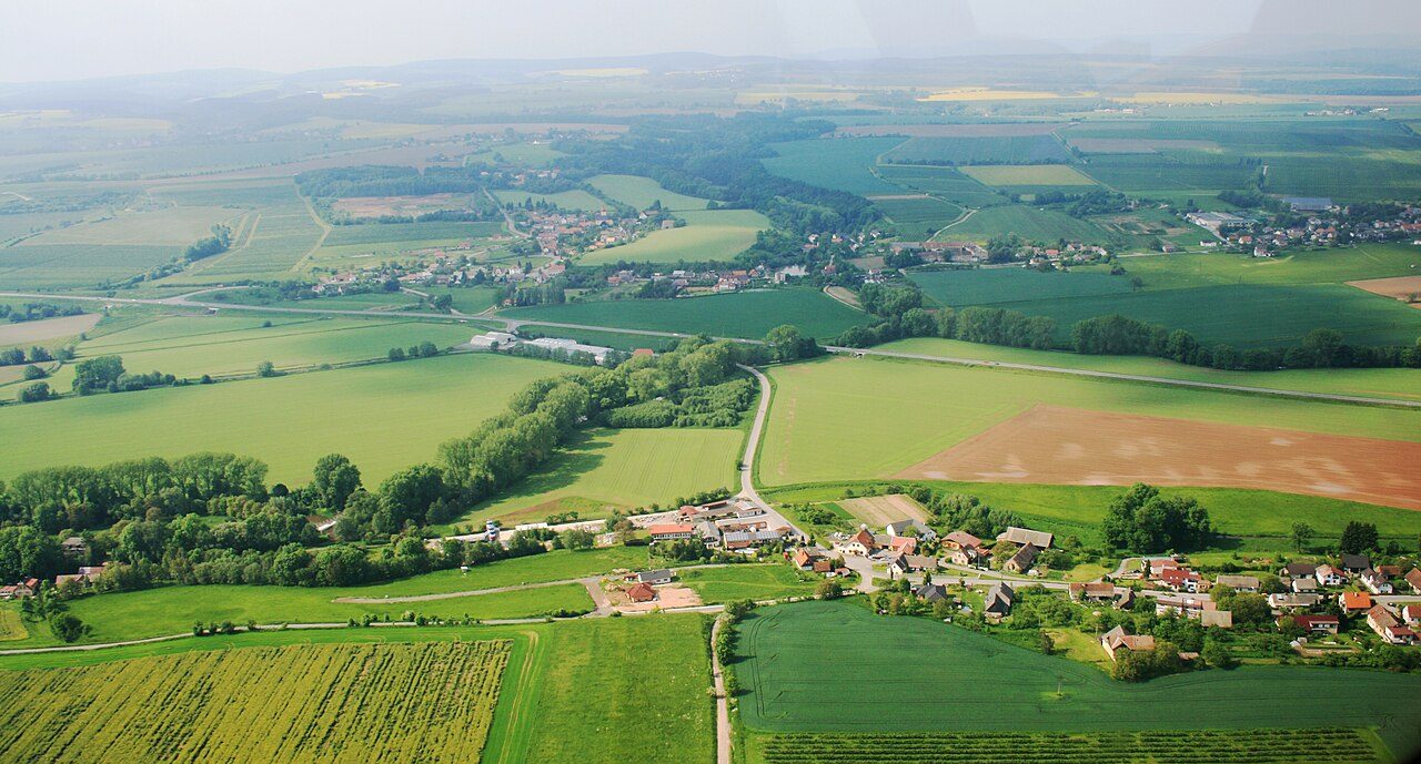 Říkov