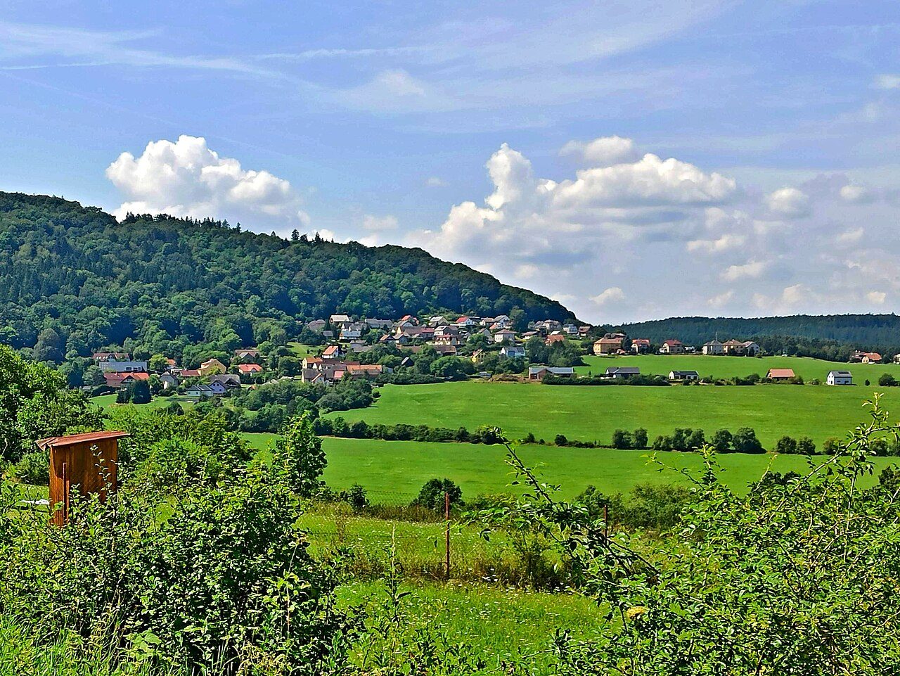 Jivina