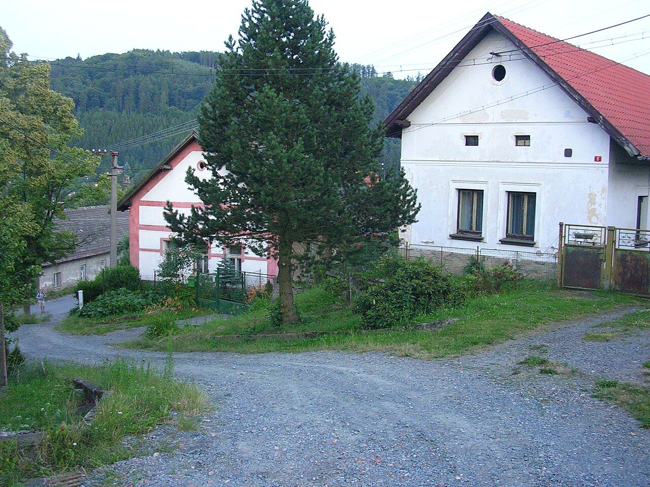 Vlkančice