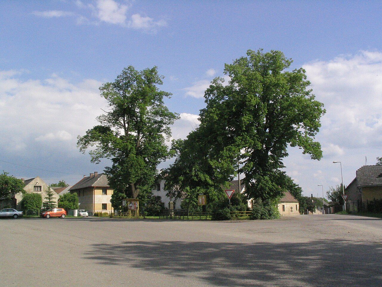 Jivina