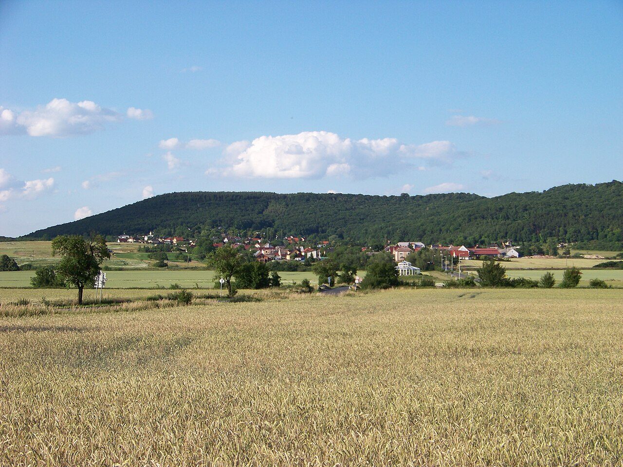 Nepřevázka