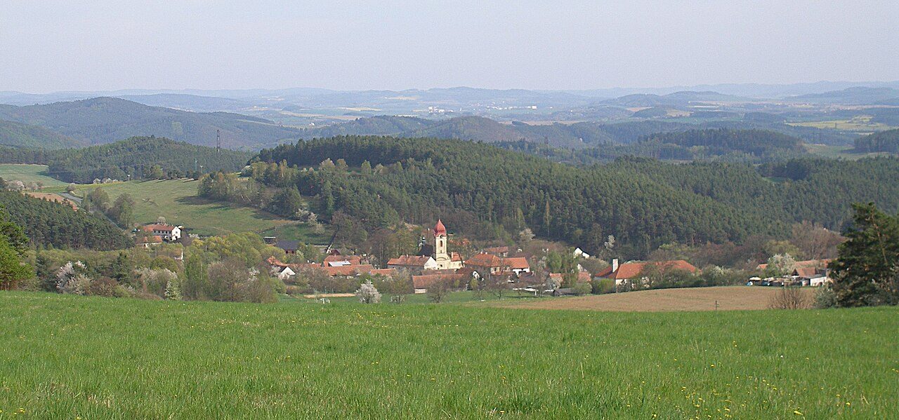 Borotice