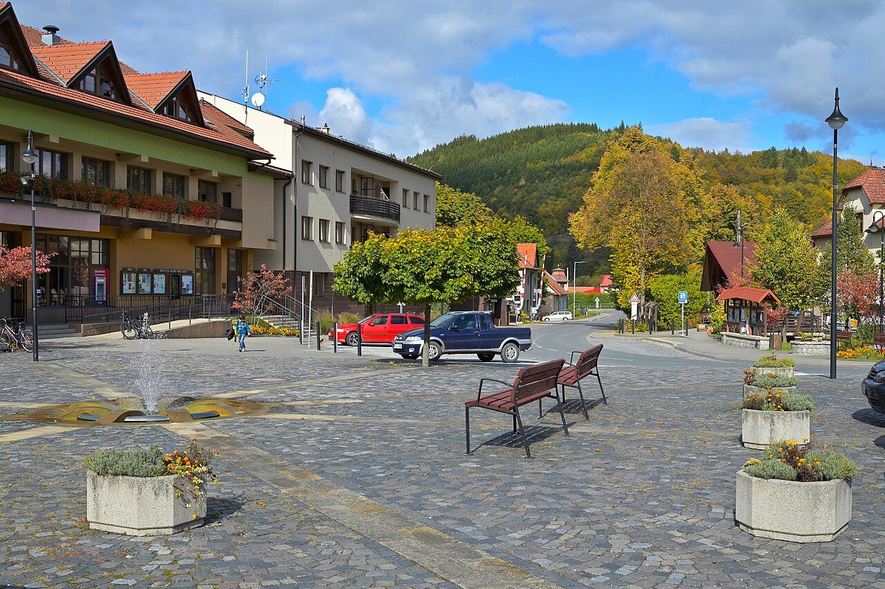 Hovězí