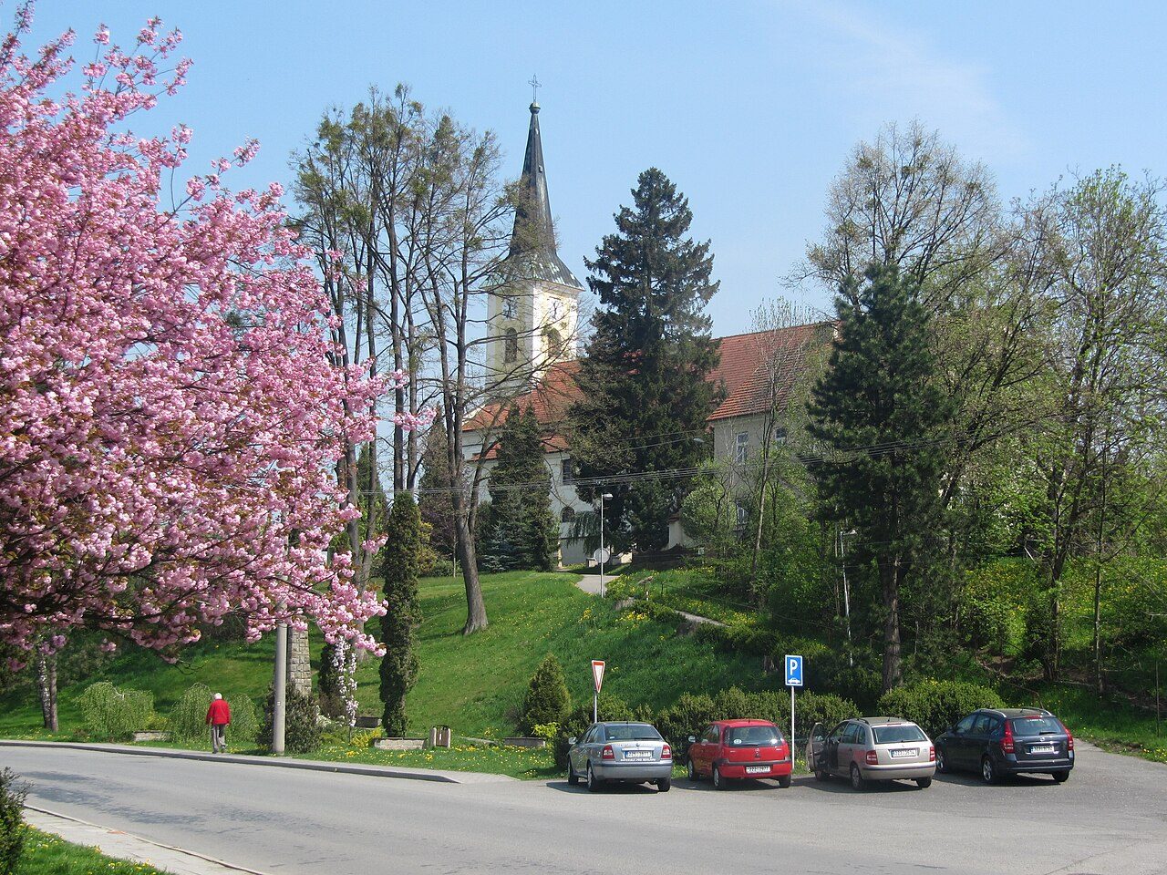 Zubří