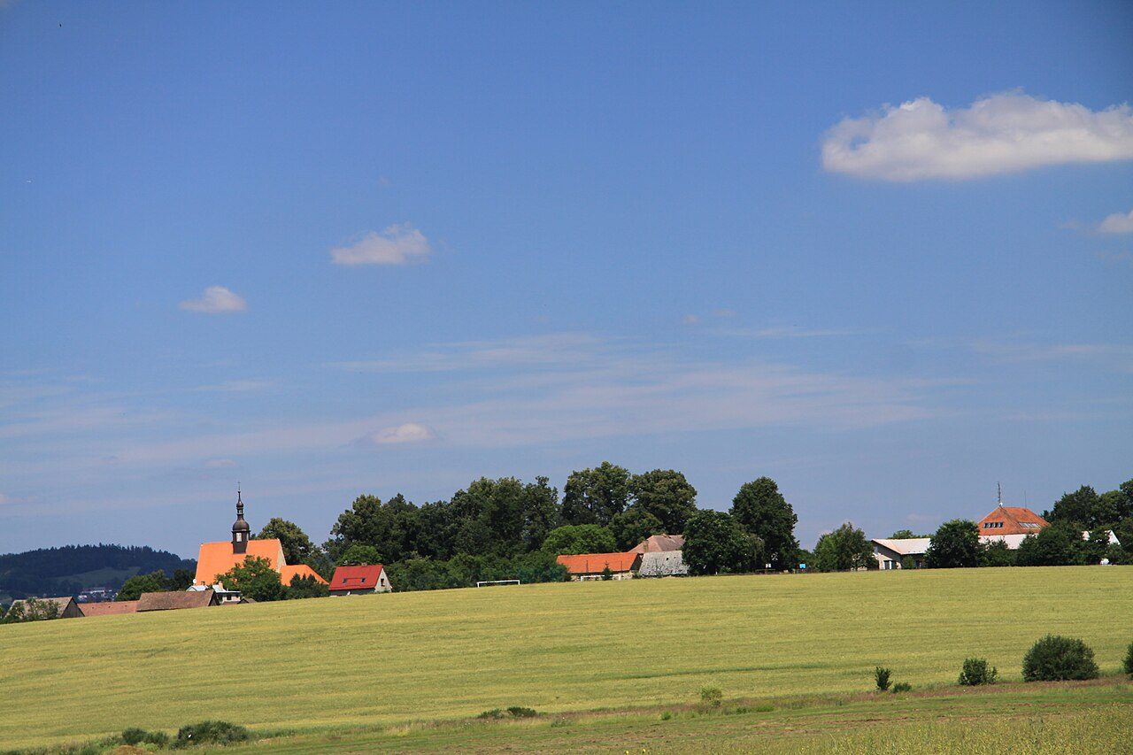 Dražice