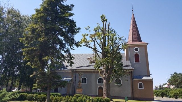 Babice