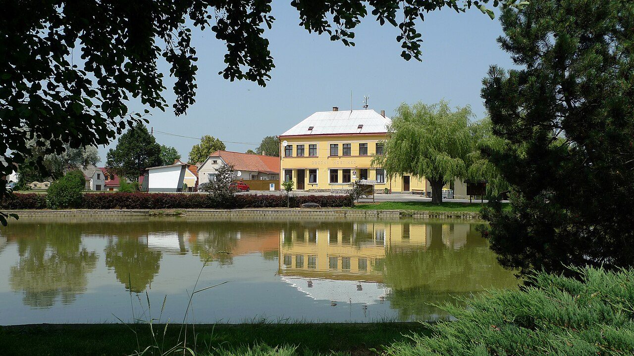 Sviny