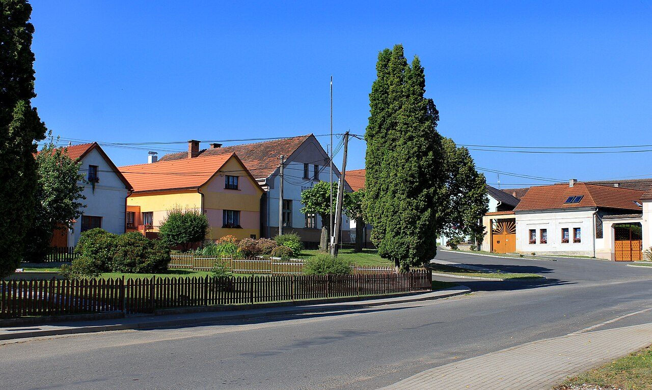 Puclice