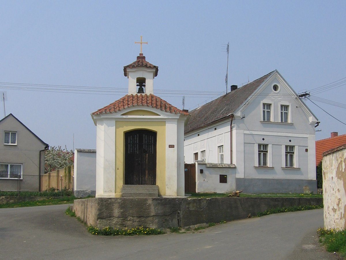 Plešnice