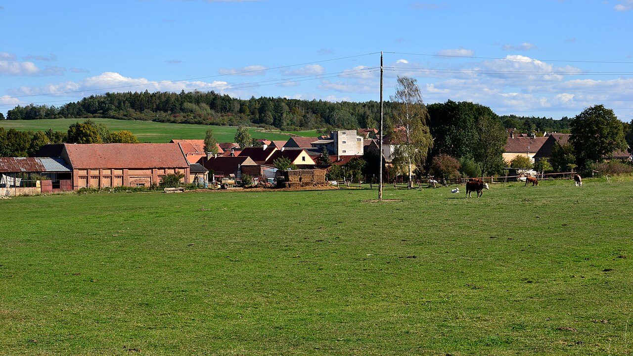 Přílepy