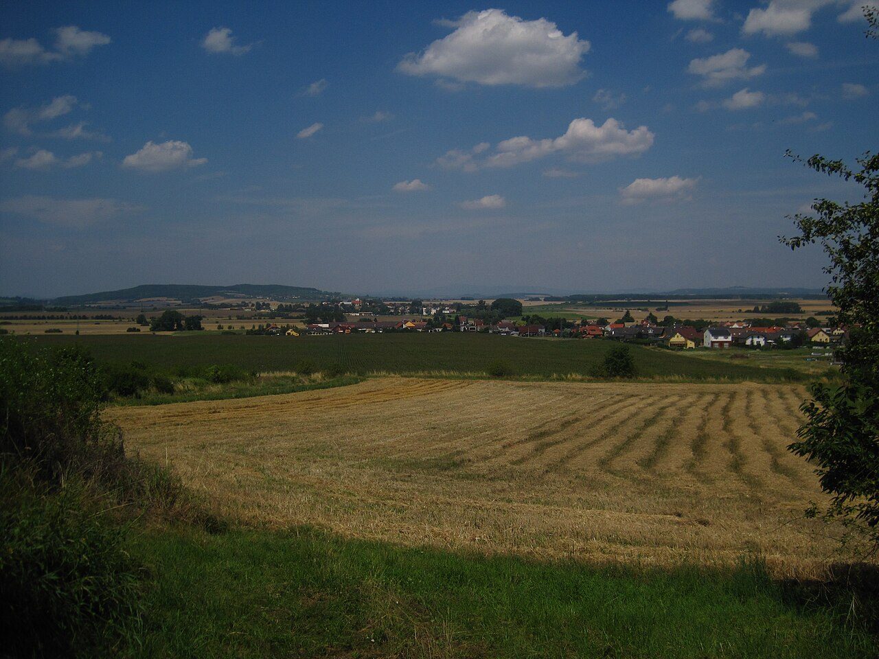 Kolomuty