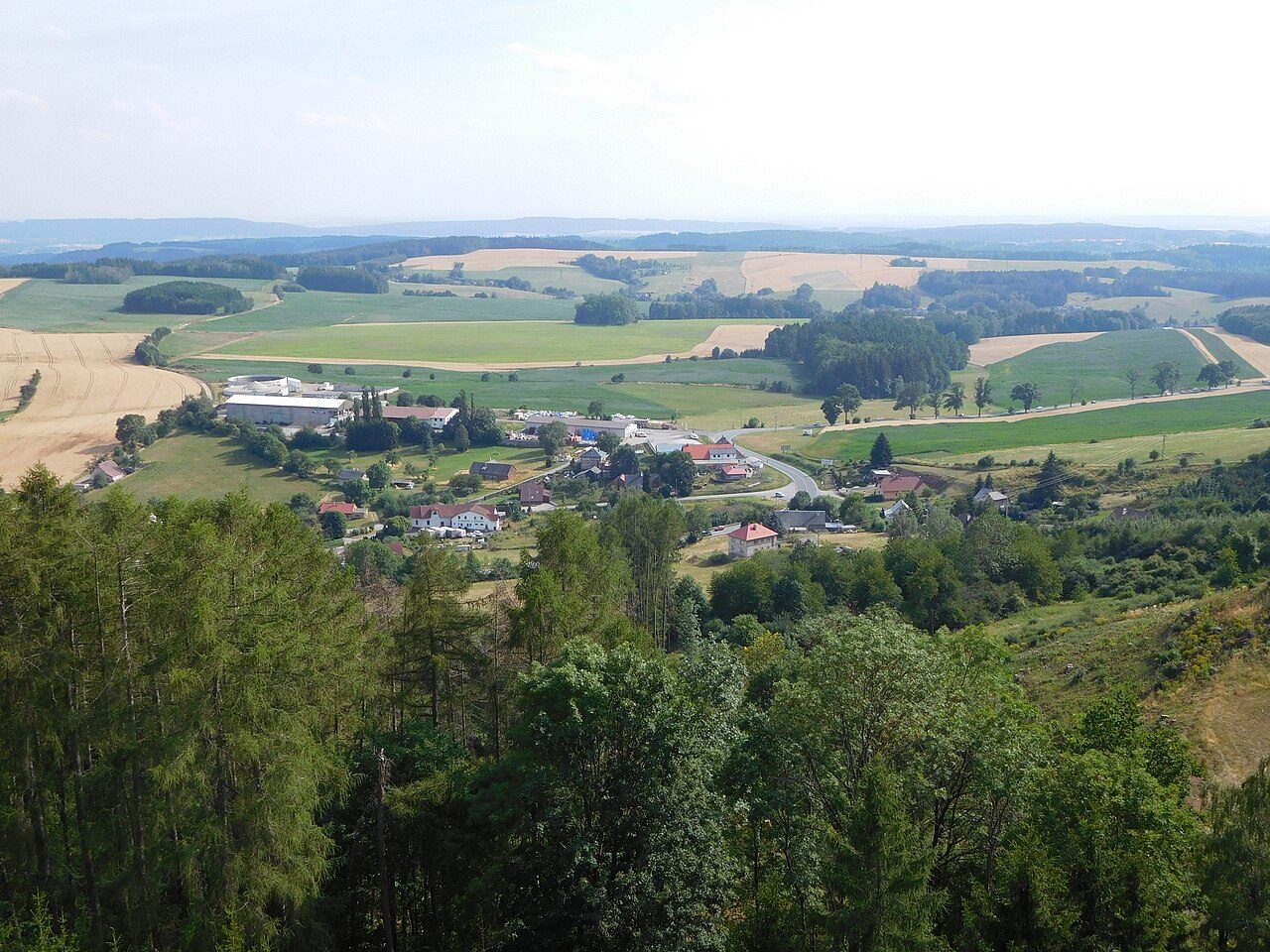 Vidochov
