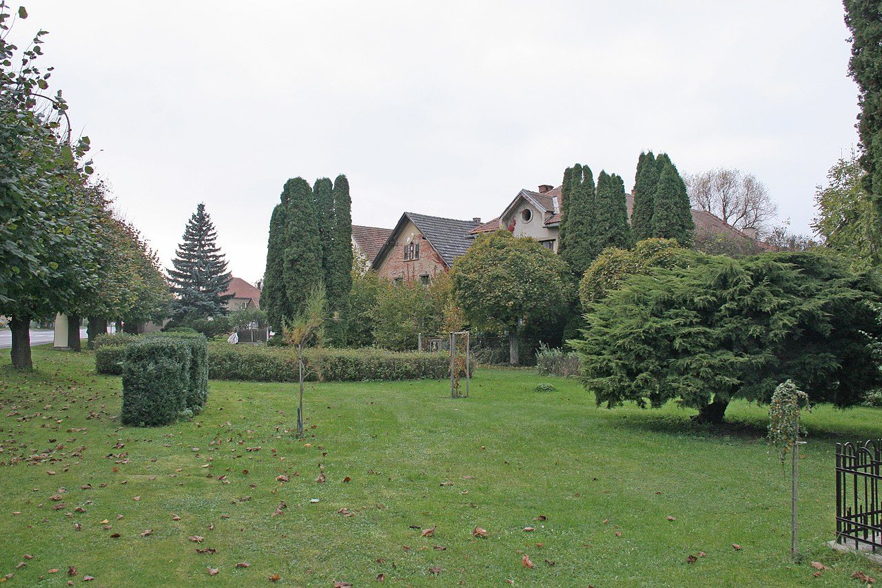 Ostrov