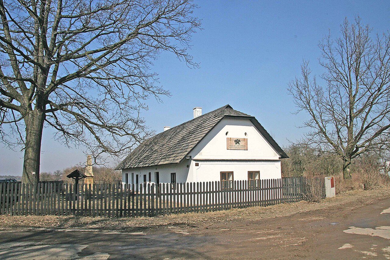 Rybitví