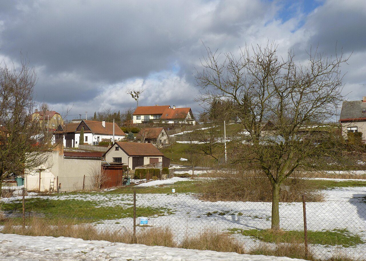 Janov