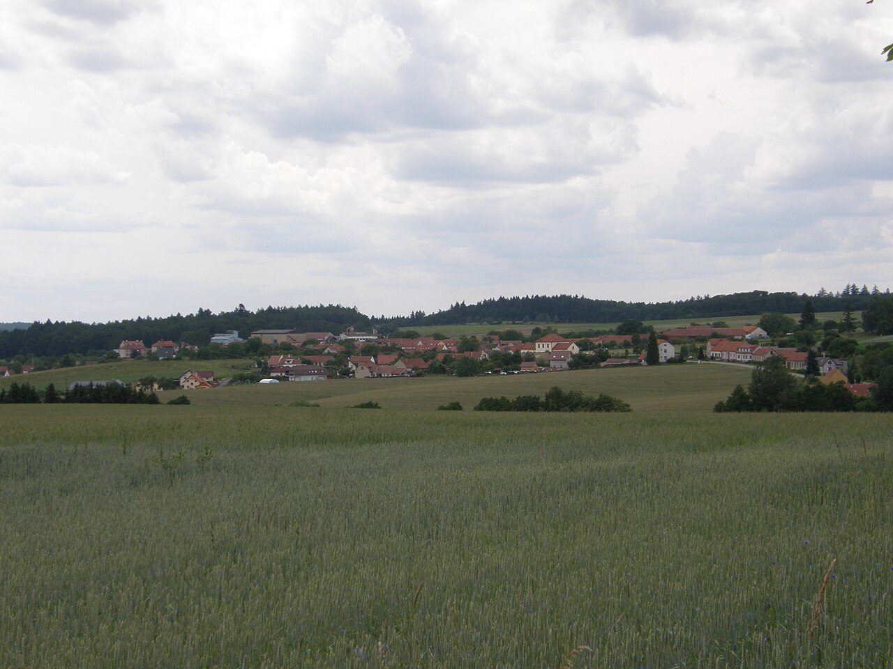 Bukovina