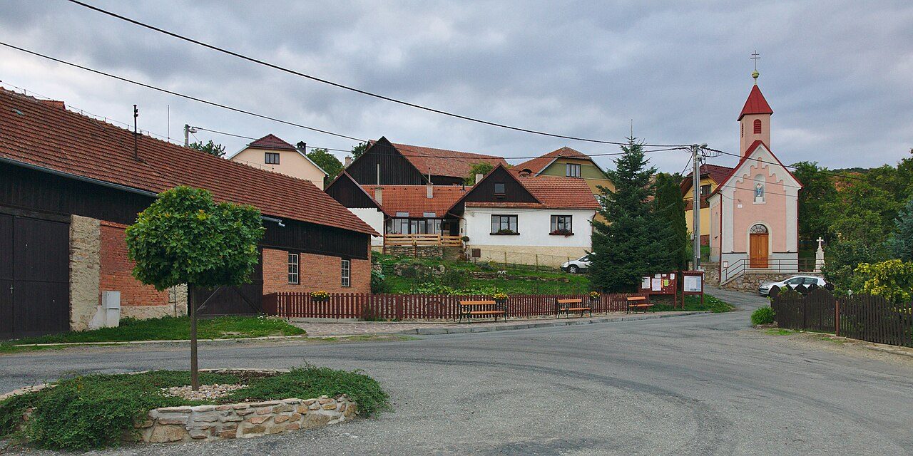 Synalov