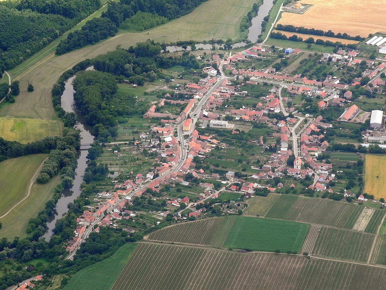 Bulhary