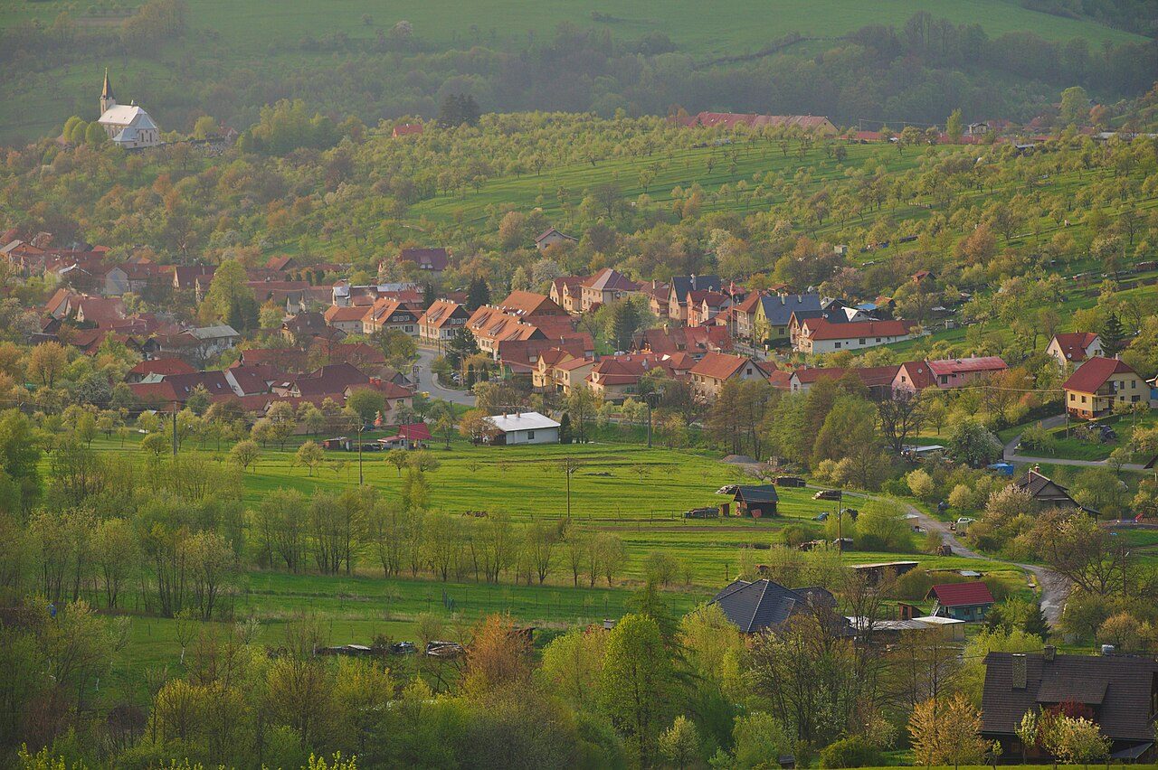Nedašov