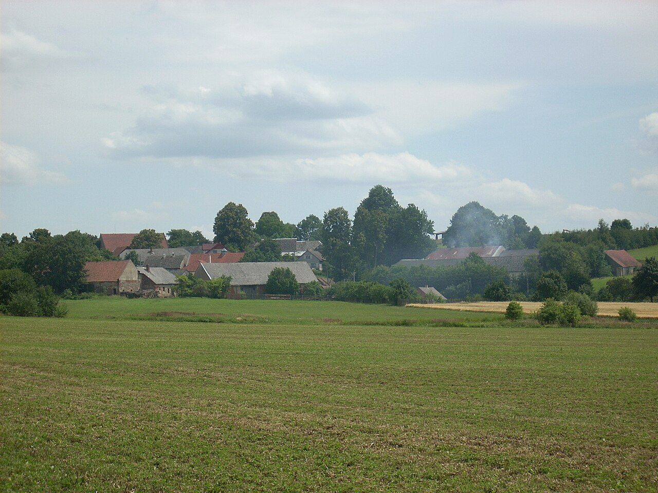 Rybné