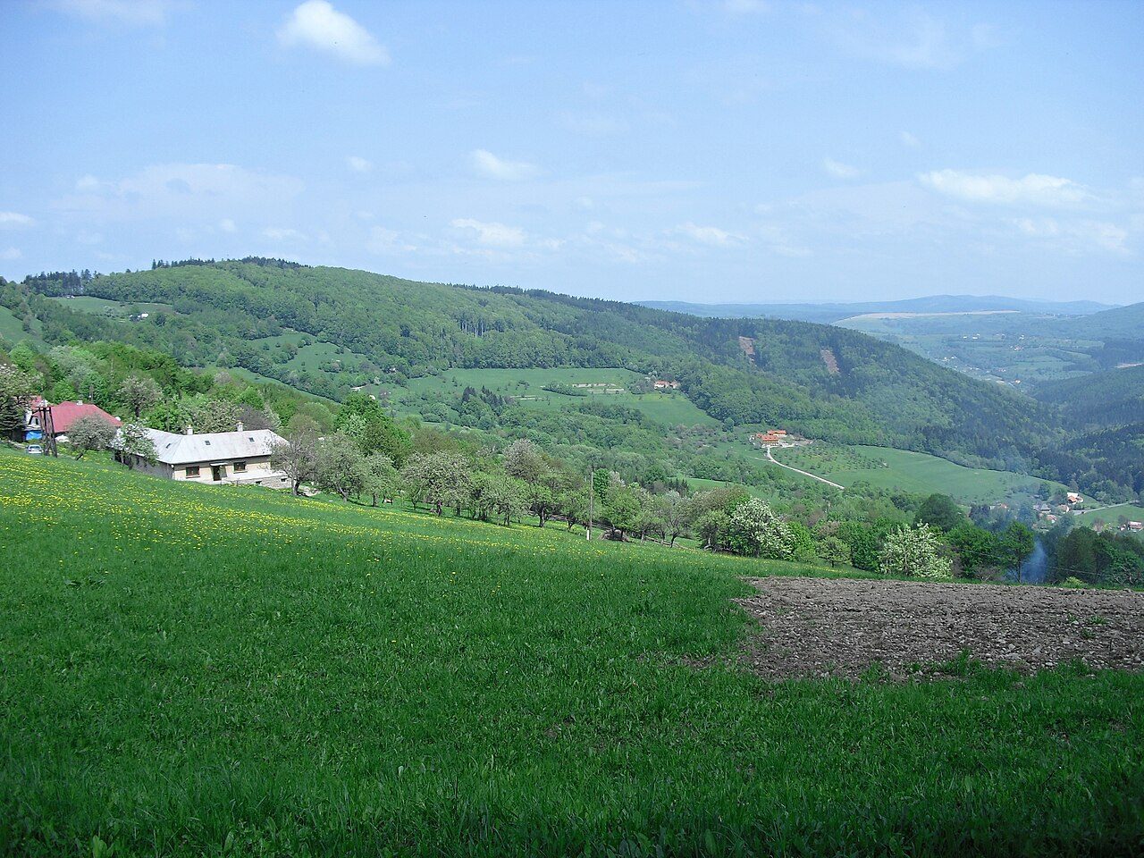 Vyškovec