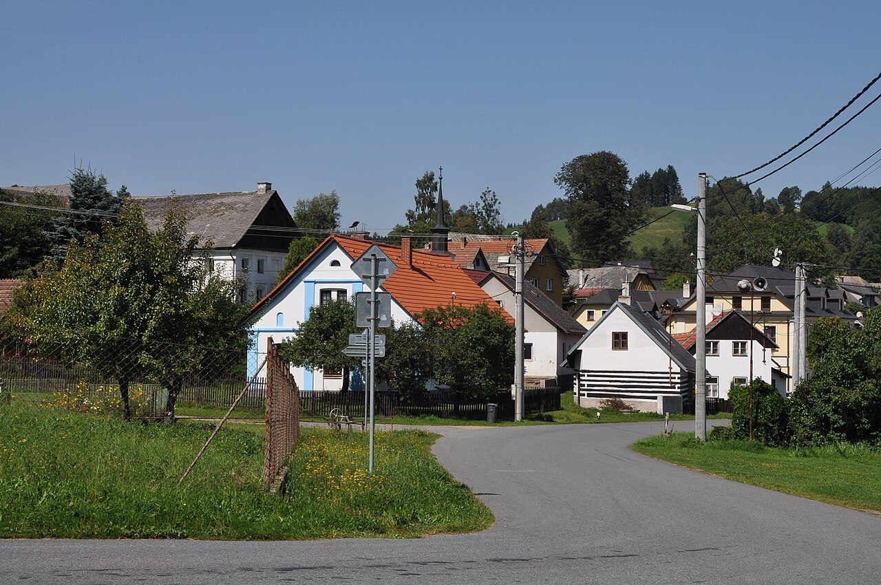 Borovnice