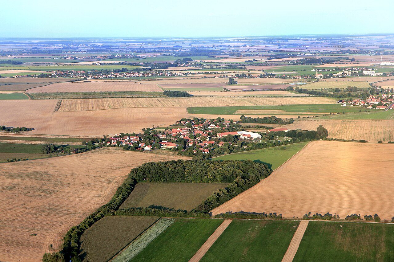Čilec