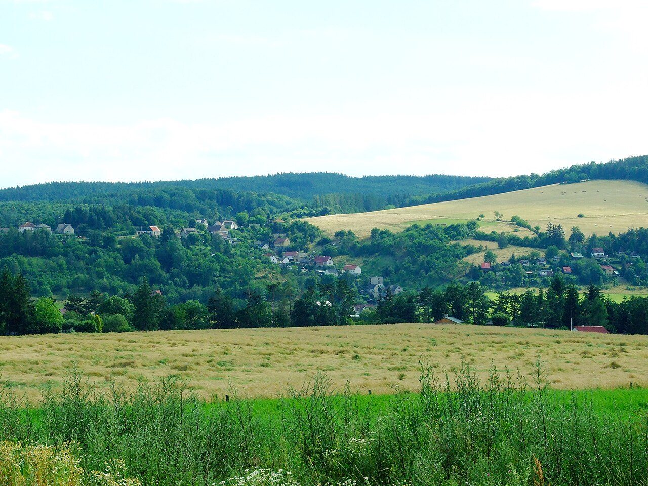 Račice